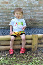 Load image into Gallery viewer, Taco Trio