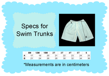 Load image into Gallery viewer, Seersucker Swim Trunks